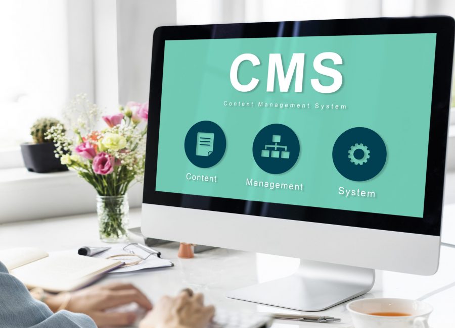 Content Management System Strategy CMS Concept